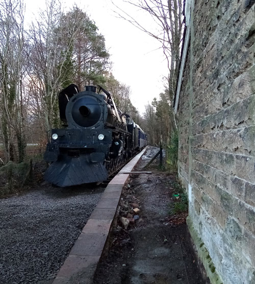 Steam train at Bass