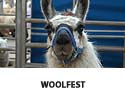Woolfest